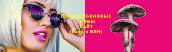 дурь Коряжма