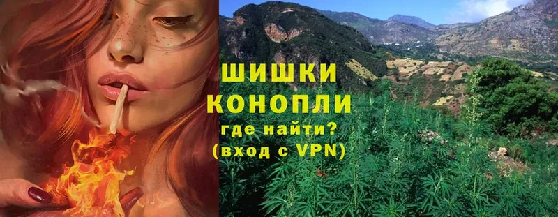 Бошки марихуана THC 21%  закладки  Орехово-Зуево 